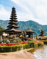 pexels-tj-chang-1334544704-25328674